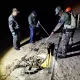 Onça que atacabou caseiro foi capturada