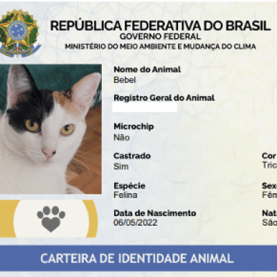 RG Animal