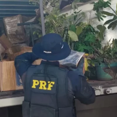 d2dda6588a502b9ef56d3fd66a3a6f87