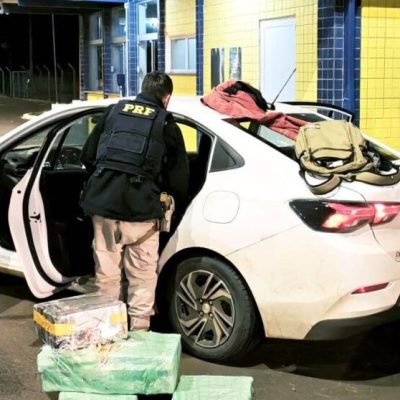 policia-carga-com-quase-240-quilos-de-maconha-e-apreendida-na-br-282-1-494-764x1024